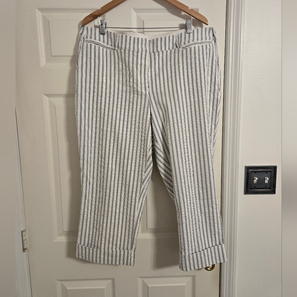 Lane Bryant The Lena blue and white striped cropped pants size 22